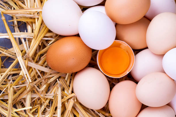 istock Raw eggs in dry straw. Food concept photo. 1134753608