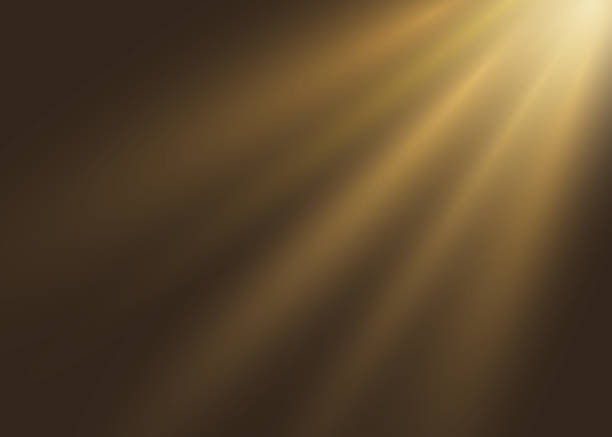 светящийся свет взрывается на черном фоне. векторная иллюстрация эффекта украшения света лучом. вспышка объектива. солнце залито спиной. з� - golden sunset stock illustrations