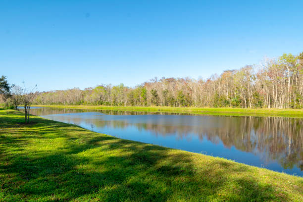 istock River J Blanchard Park Orlando Florida 1134757773