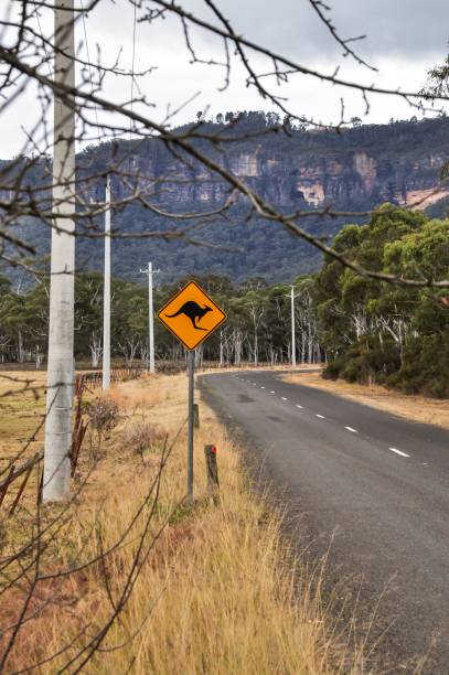 istock A kangaroo warning road sign in Australia 1134757926