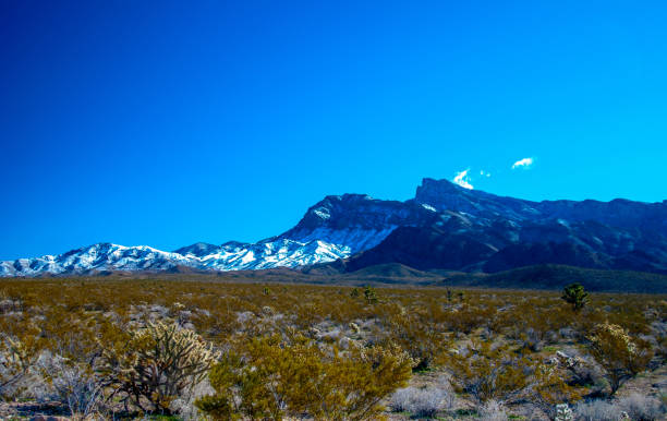 Winter Snow Virgin Mountains