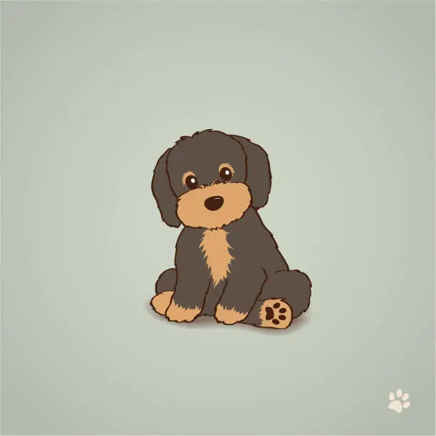 Vector illustration of Chocolate Brown Havanese Puppy Dog