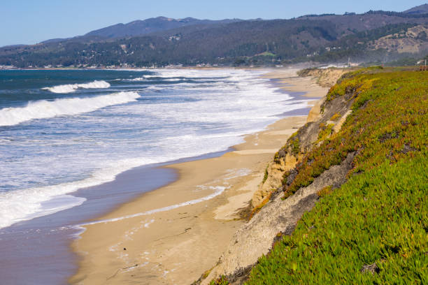 прибрежные скалы и пляж залива полумесяца, калифорния - half moon bay стоковые фото и изображения
