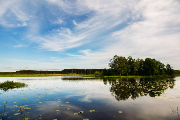 istock River with a forest on the far shore. landscape 1134762574