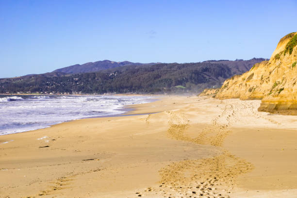 istock The Pacific Ocean coast and beach in Half Moon Bay, California 1134764363