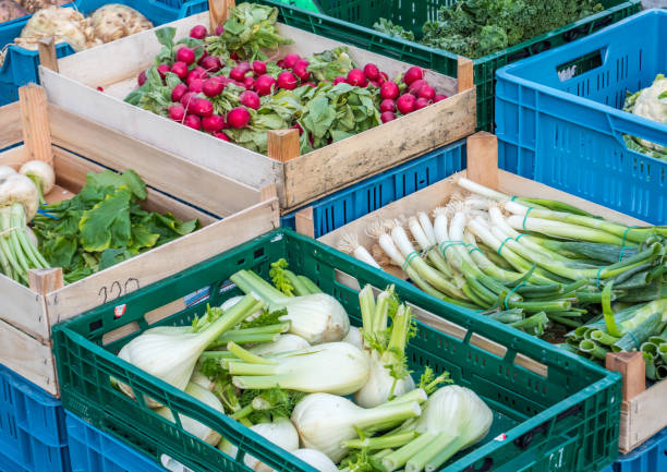 Vegetable market weekly market