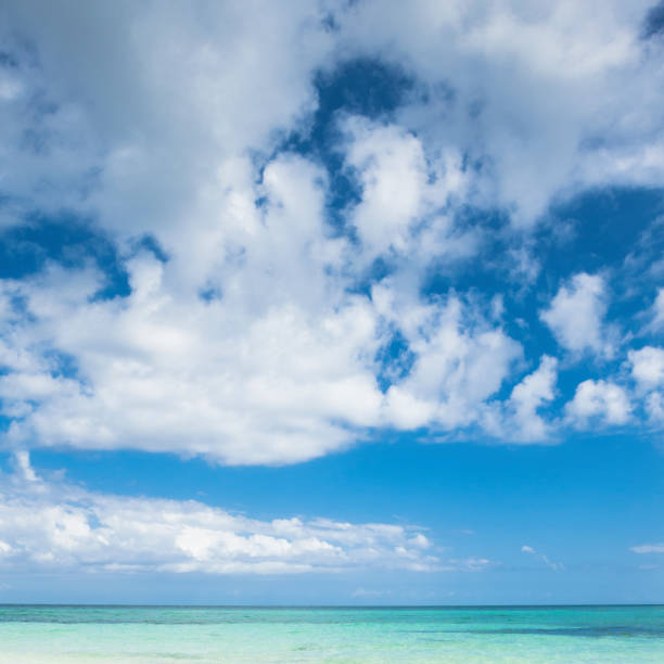 istock Beautiful Beach in the Bahamas 1134771167