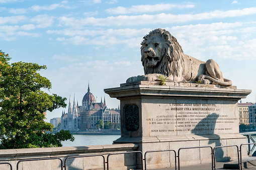 Budapest Chain Bridge lion's with the hungarian parliament in background - Budapest, Hungary