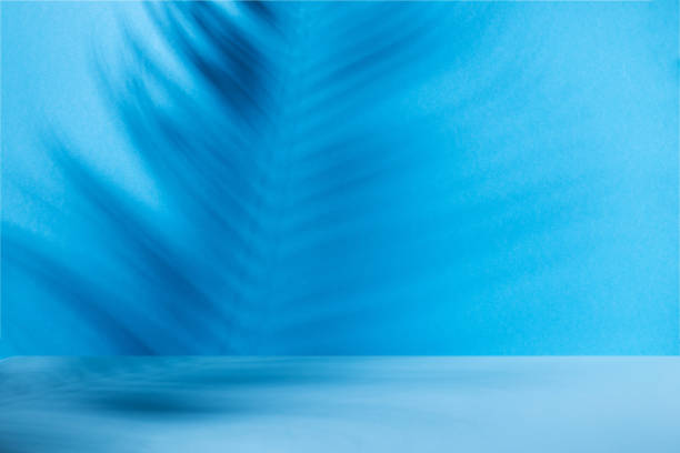 istock Coconut tropical palm leaf shadow on blue background. Minimal summer exotic concept template 1134776155