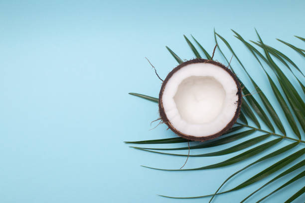 istock Palm leaves and coconut on a blue pastel background top view 1134776163