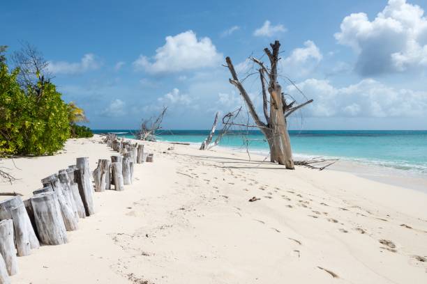 istock A tropical beach with white sand and clear blue ocean. 1134781086