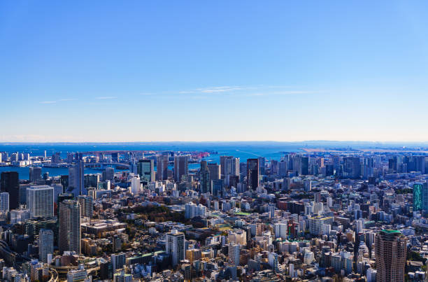 istock Tokyo panorama view in japan 1134783112