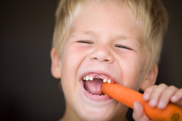 portrait d'un garçon mignon sans dents mangeant de la carotte. enfant heureux avec le légume. alimentation saine. - beautiful smiling vegetable calcium photos et images de collection