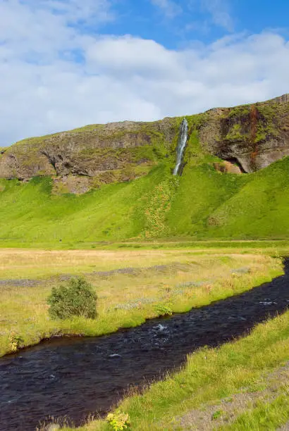 seljalandsfoss waterfall in Iceland on summer