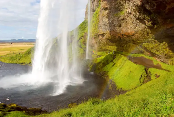seljalandsfoss waterfall in Iceland on summer