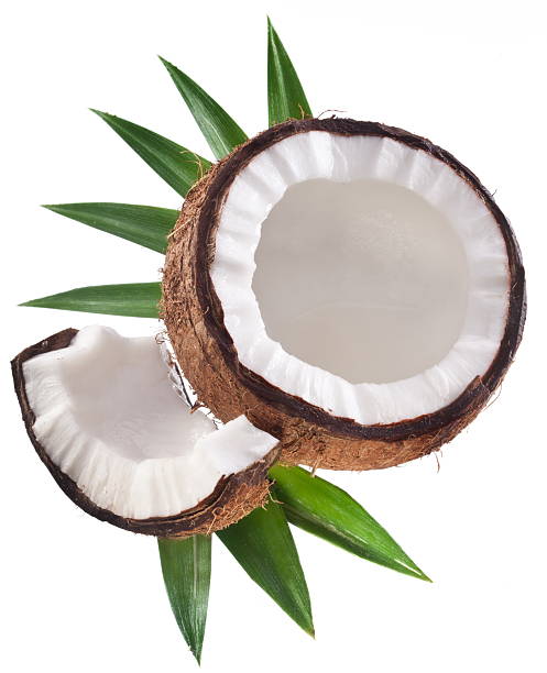 istock High-quality photo of coconuts. 113478910