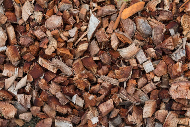 istock dried brown coconut coir husk background for plant growing 1134790328