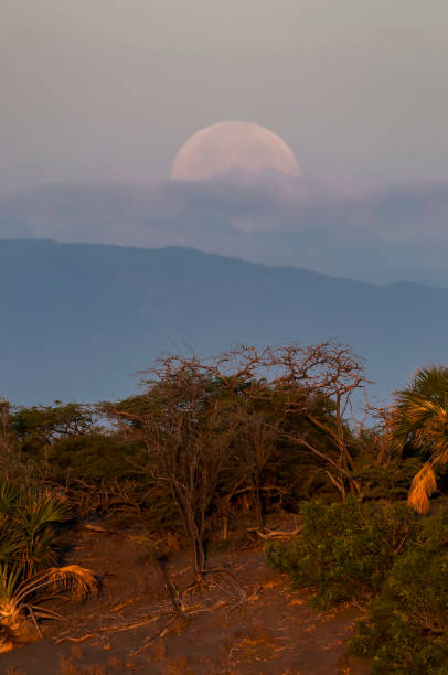 istock Moonsets On Bani Dunes, Dominican Republic 1134796896