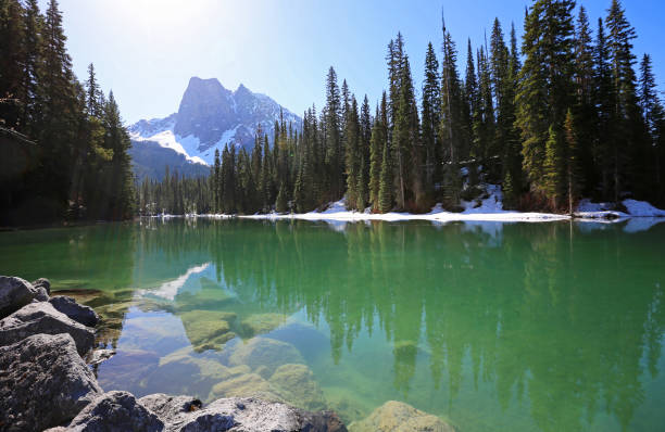istock Mt Burgess and Emerald Lake 1134797082