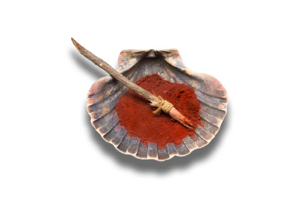 A brush and shell with red pigment from neolithic age used for clay decoration. Replica isolated over white background