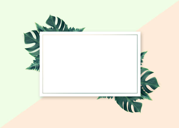 istock Green leaves and frame background for copy space or text creative advertising 1134798620
