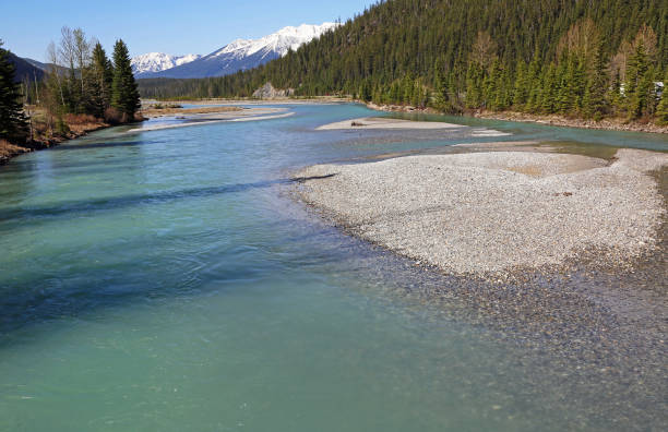 istock Field in Kicking Horse River valley 1134799454