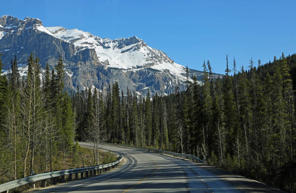 istock The road to Emerald Lake 1134799746