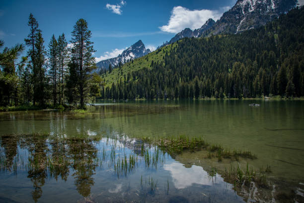 istock Reflection of Teton peaks in String Lake 1134803943