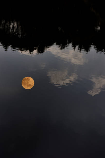 Photo of The full moon reflected on the lake surface