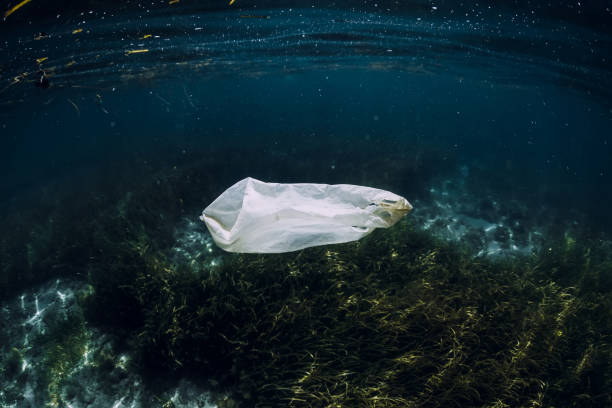 istock Underwater view with plastic bag in ocean, ecological concept 1134806453