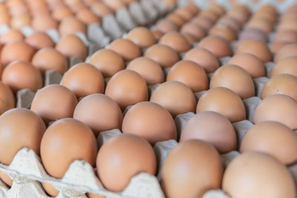 istock Fresh Egg in the market of thailand. 1134825436