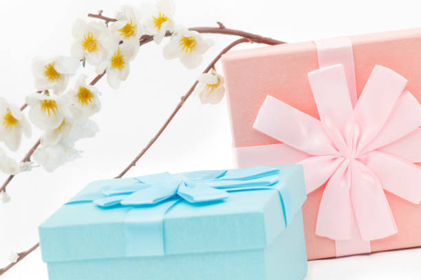istock Two boxes with presents with branch of the willow for celebration 1134831641