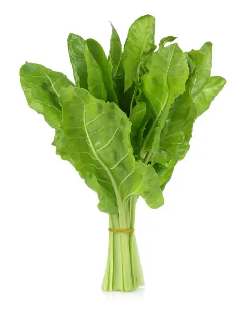 A bunch of fresh chard leaves isolated on white background