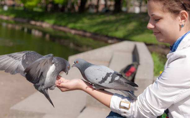 istock girl feeding pigeons 1134833282