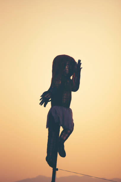 istock scarecrow in the paddy rice field at sunset 1134833358
