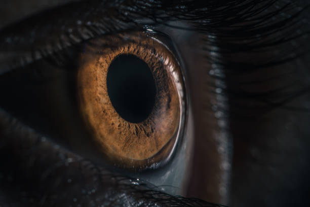 istock Extreme macro shot of human eye pupil 1134833512