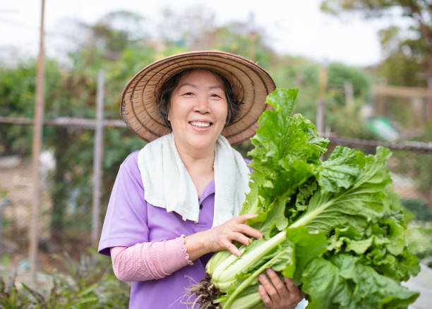 istock female Senior farmer with vegetables 1134836076