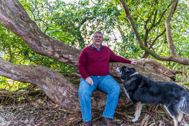 istock Senior Caucasian man in woodland 1134836363