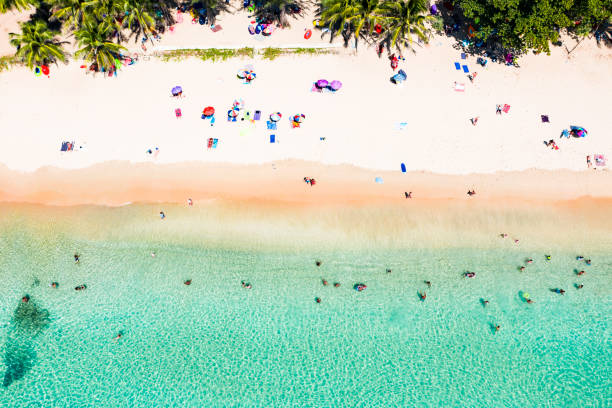 View from above, stunning aerial view of  people sunbathing, swimming and relaxing on a beautiful tropical beach with white sand and turquoise clear water, Surin beach, Phuket, Thailand. View from above, stunning aerial view of  people sunbathing, swimming and relaxing on a beautiful tropical beach with white sand and turquoise clear water, Surin beach, Phuket, Thailand. satun province stock pictures, royalty-free photos & images