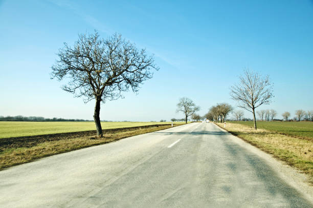 istock Empty motorway with farmland and trees on either side 1134839839