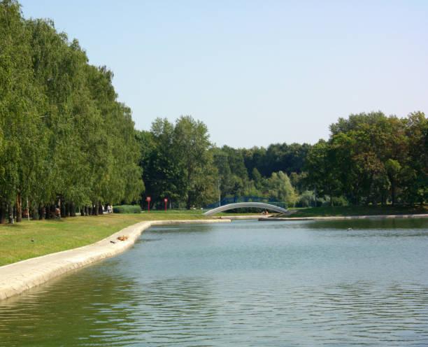 istock summer in city park 1134840210