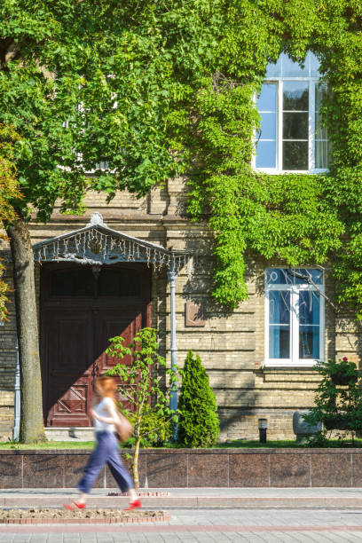 istock Brick Facade of an Old Building Covered with Ivy 1134841445