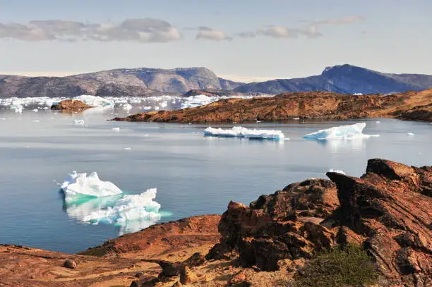 Photo of Drifting Icebergs near the coast of Greenland.