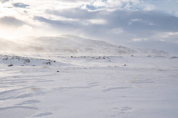 istock Winter in Iceland, Europe 1134848256