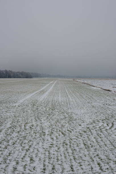 istock empty textured field in winter countryside 1134850648