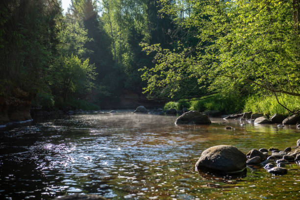 istock sunrise over the forest river in woods, early light 1134850727
