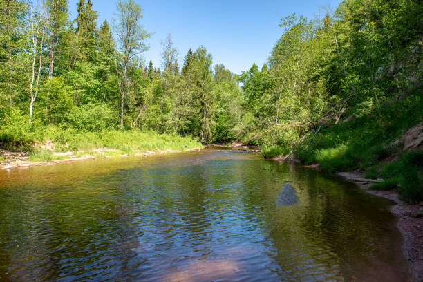 istock sunrise over the forest river in woods, early light 1134850754