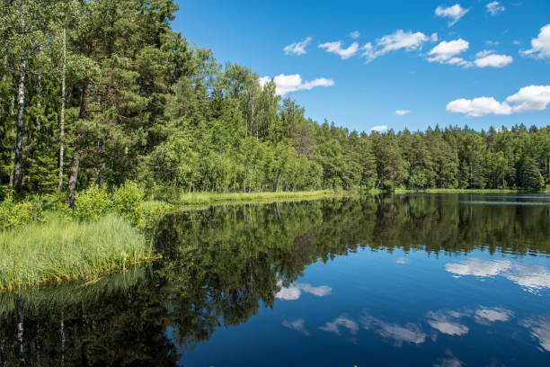 istock calm lake in bright sun light with reflections of clouds and trees and blue sky 1134850863