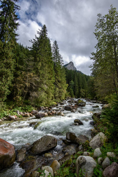 istock fast mountain rocky river in forest with waterfall 1134851067