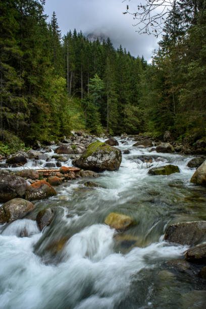 istock fast mountain rocky river in forest with waterfall 1134851070